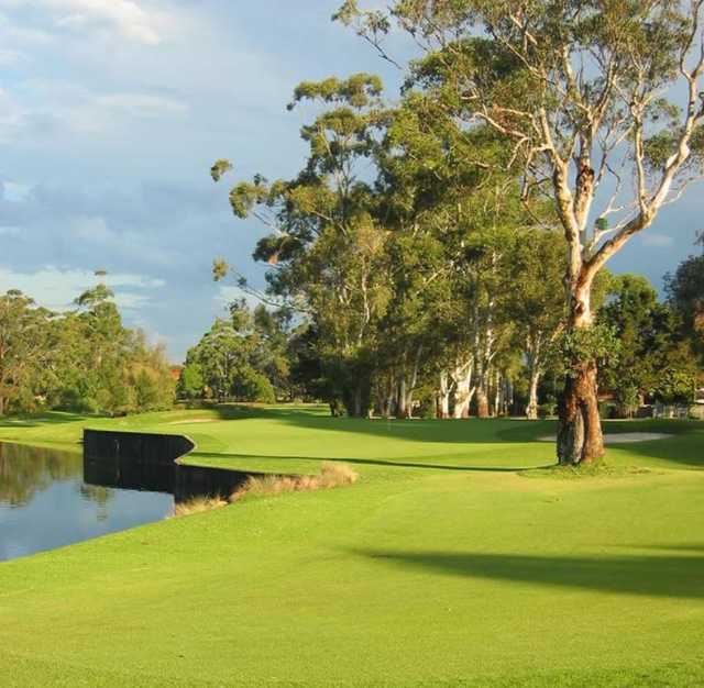 Ryde-Parramatta Golf Club - photo 5