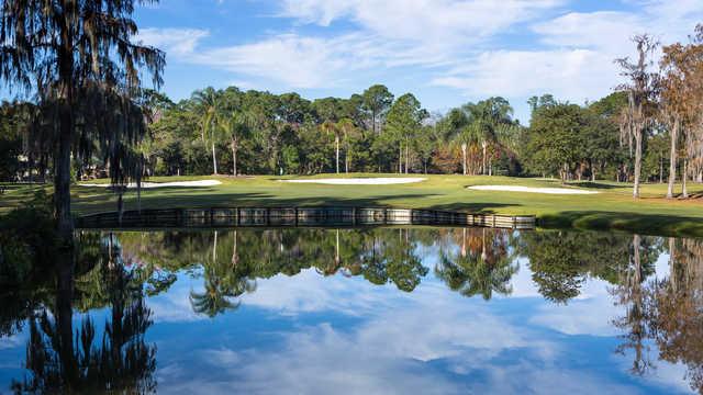 Rio Pinar Golf Club - photo 3