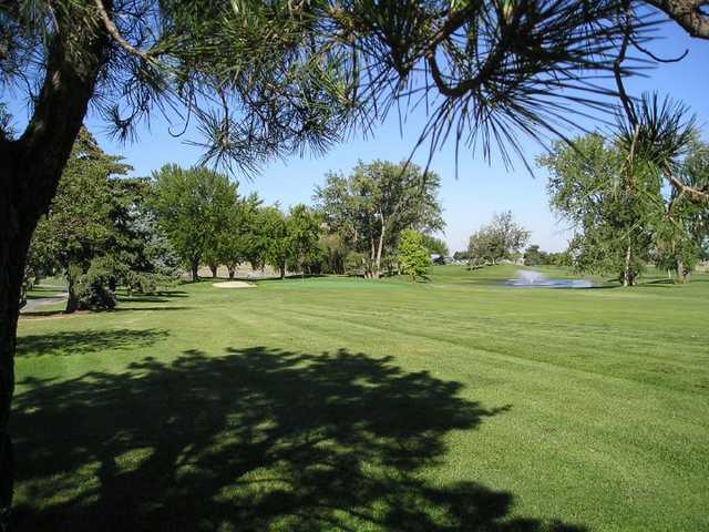 Sun Willows - photo 2