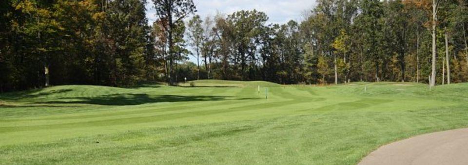 The Timbers Golf Club - photo 4