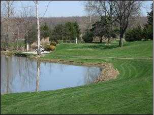 The Pines Golf Club