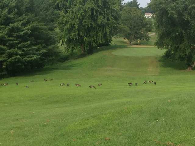 West Virginia - photo 4