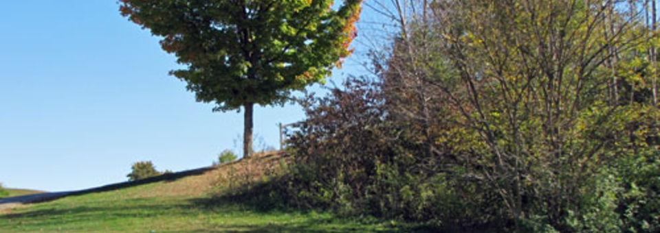 Bluff Creek Golf Course - photo 3