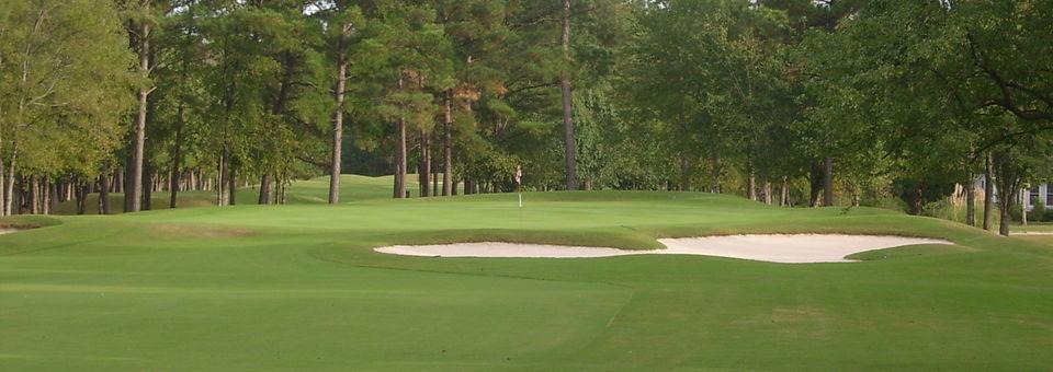 The Emerald Golf Club - photo 6