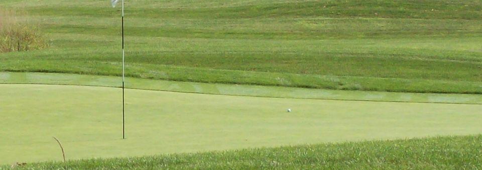 Hickory Valley Golf Club - Presidential - photo 4