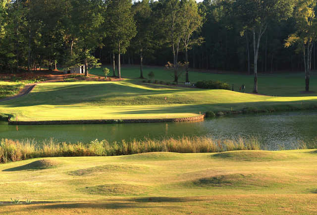 University of Georgia - photo 2