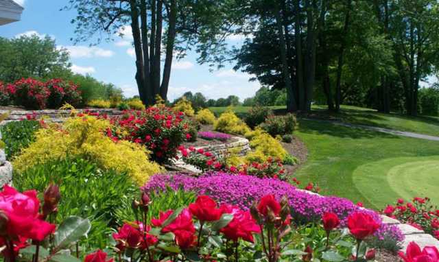 Westfield Group Country Club - photo 4
