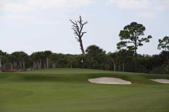 Shadow Wood Preserve