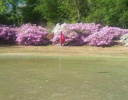 Carolina Golf & Tennis Club - photo 3
