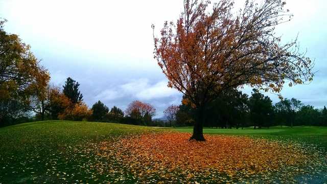 Sunnyvale Golf Course - photo 5