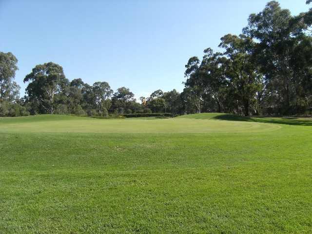 Bendigo Golf Club - photo 5