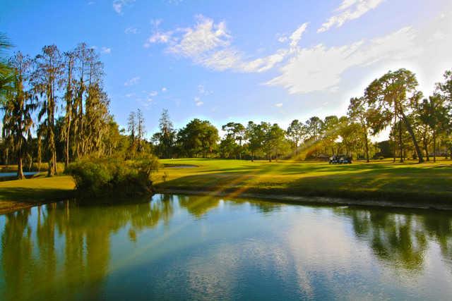 Pebble Creek Golf Club - photo 8