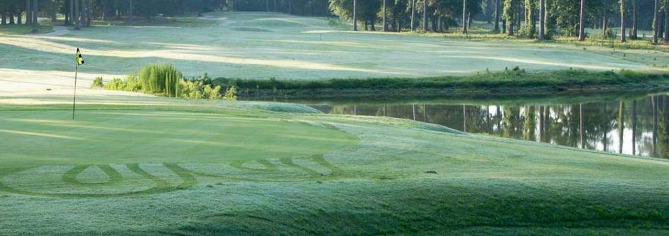 Lake Blackshear Resort and Golf Club - photo 5