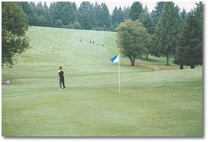 Springwater Golf Course - photo 2