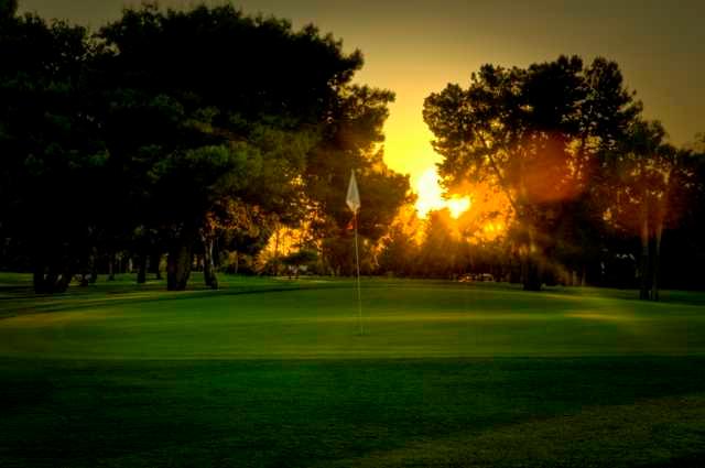 Dobson Ranch - photo 5