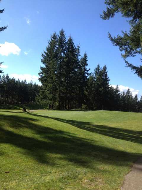 Lipoma Firs Golf Course - photo 3