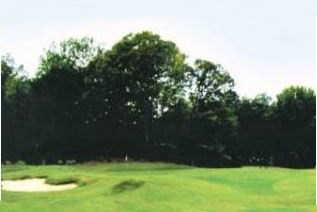 Hernando Hills
