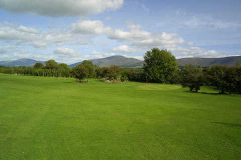 Carrigleade - photo 2