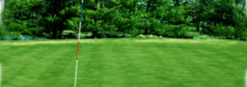 The Prairies Golf Club of Cahokia - photo 2
