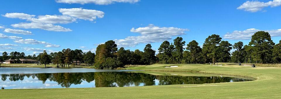 The Wellman Club - photo 5