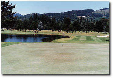 Lewis River Golf Course - photo 4