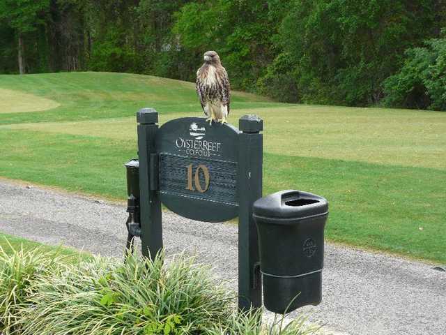 Oyster Reef Golf Club - photo 8