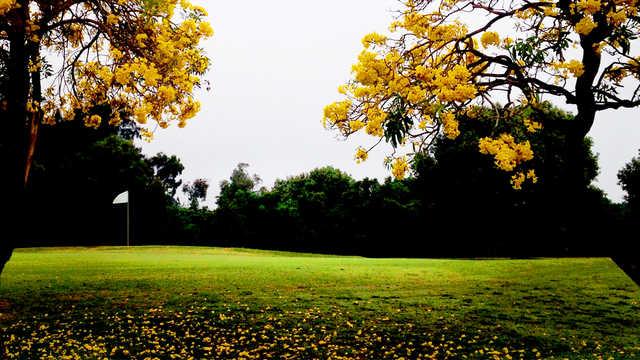 Delray Beach Golf Club - photo 3
