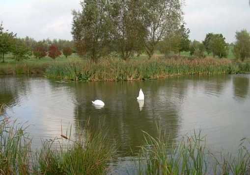 Long Sutton Golf Club - photo 5