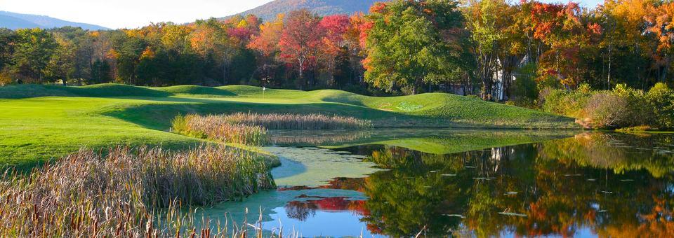 Stoney Creek Golf Course - photo 4