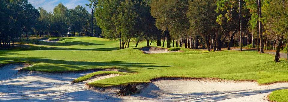 Victoria Hills Golf Club - photo 7