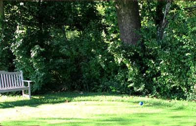 Brendonwood Golf Course - photo 2