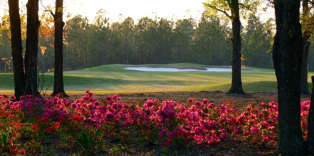 Eagle Landing Golf Club - photo 2