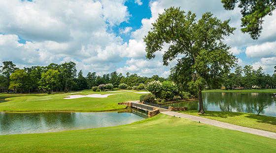 The Woodlands Country Club Palmer Course - photo 2
