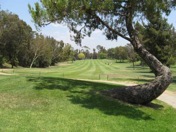 Birch Hills Golf Course - photo 5