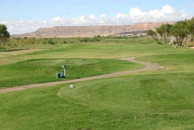 Coyote Willows Golf Club - photo 6