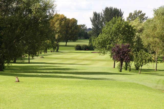 Phoenix Golf Club - photo 3