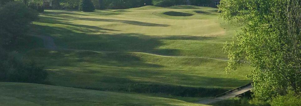 River Downs Golf Course - photo 5