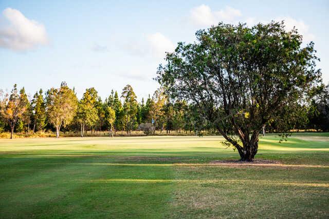 Beerwah & District Memorial Golf - photo 2