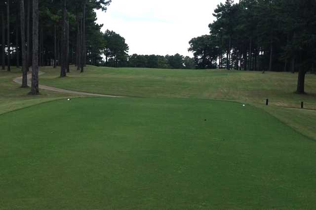 The Bridges at Tartan Pines - photo 6