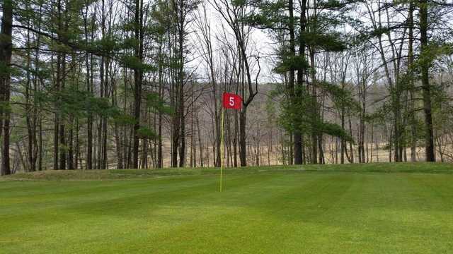 Pinecroft Golf Course - photo 4