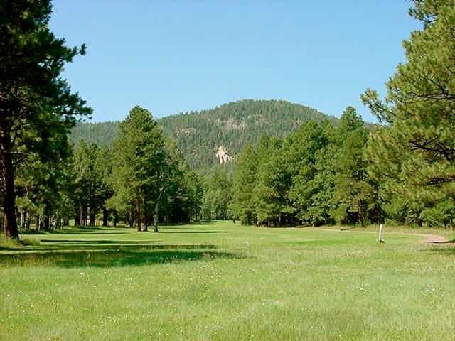 Alpine Country Club - photo 3