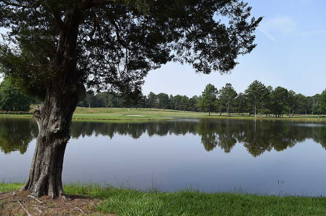 Indian Pines - photo 3