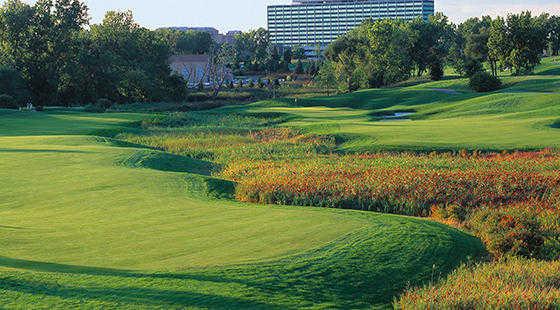 TPC Michigan - photo 4