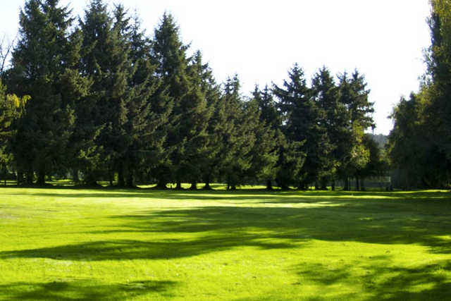 Sunshine Woods Golf Centre - photo 3