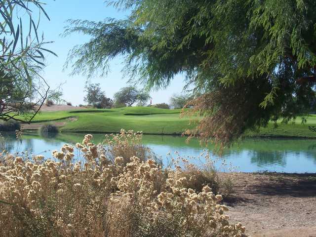 Falcon - photo 2