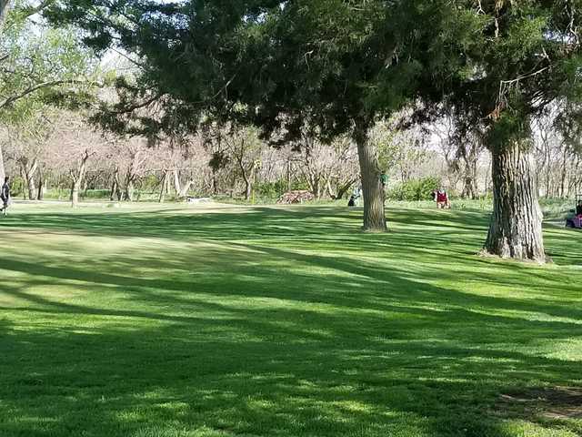 Cottonwood Greens Golf Course - photo 2