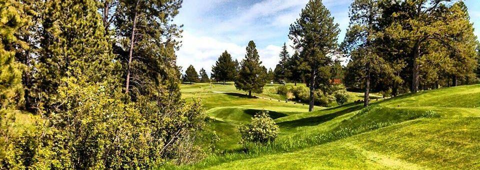 Pine Meadows Golf Course - photo 4