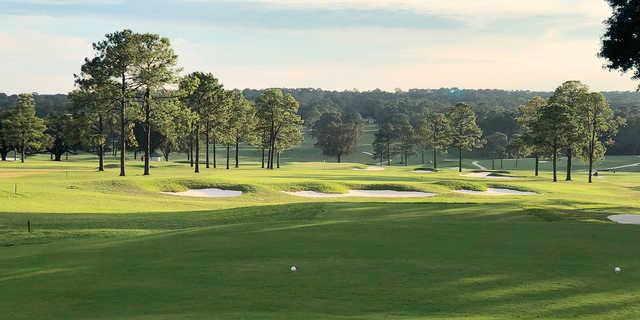 Country Club of Mobile - photo 3