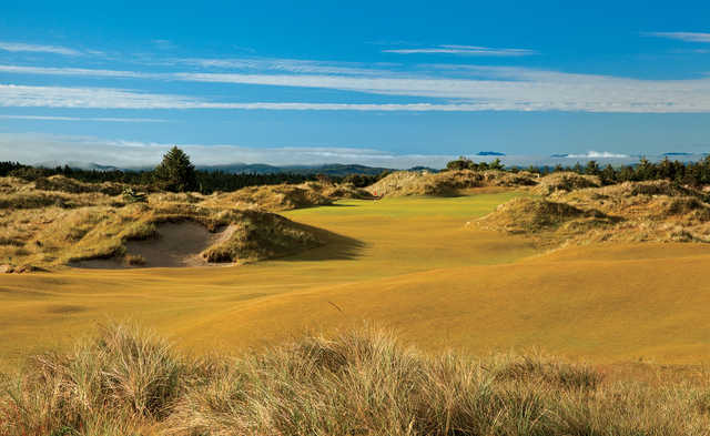 Bandon Dunes Golf Resort - Bandon Trails Course - photo 3