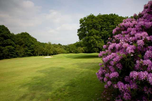 Northcliffe Golf Club - photo 3